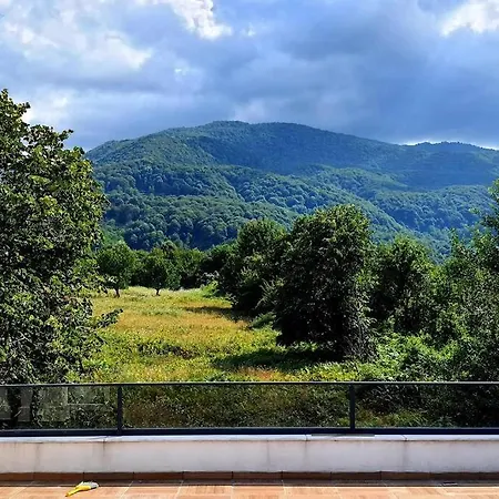 Huzurlu,Konforlu Doga Icinde Bir Villa Villa